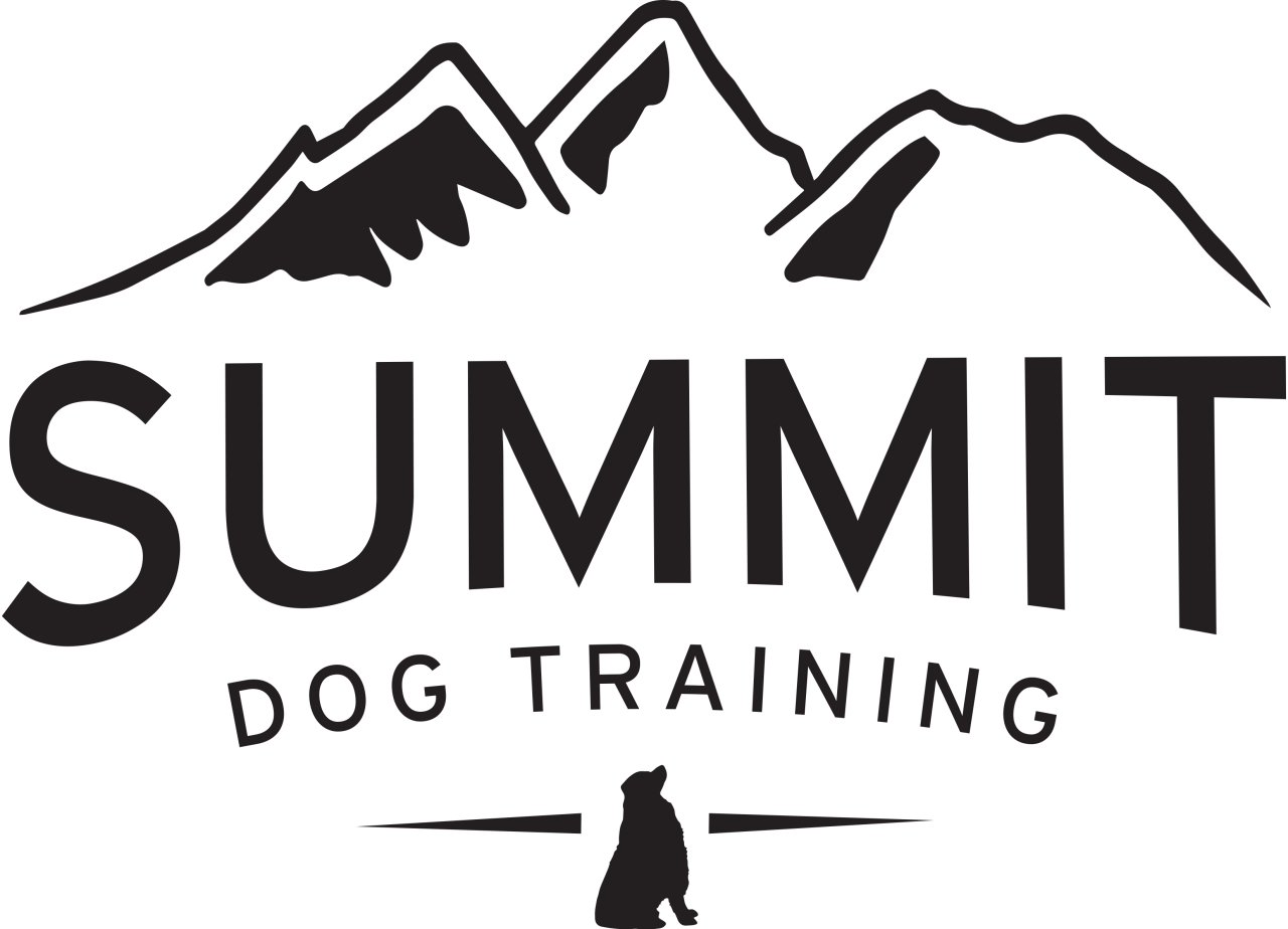 Summit Logo